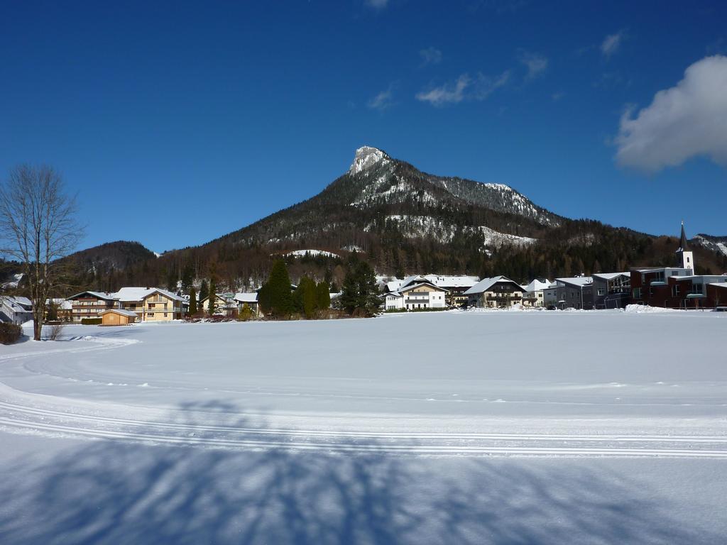 Haus Hedwig Apartment Fuschl am See Luaran gambar